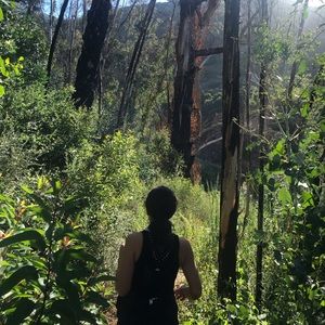 Meet your Posher, Bella